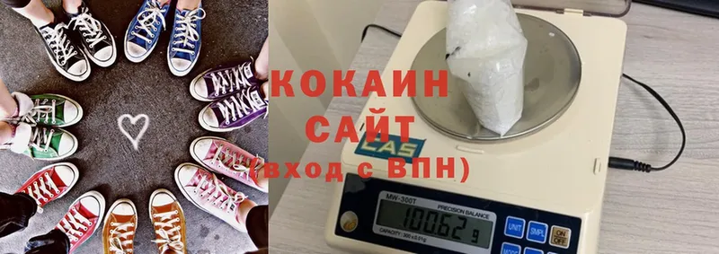 Cocaine FishScale  купить наркоту  Кохма 