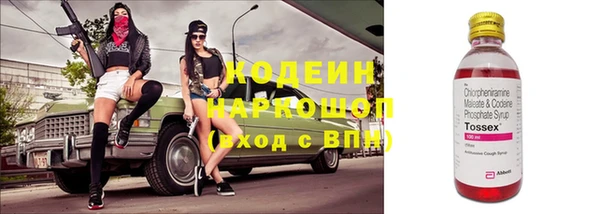 сатива Нязепетровск