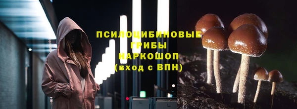 круглые Няндома