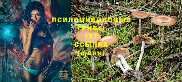 spice Нягань