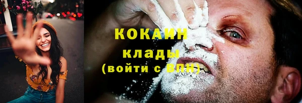 сатива Нязепетровск