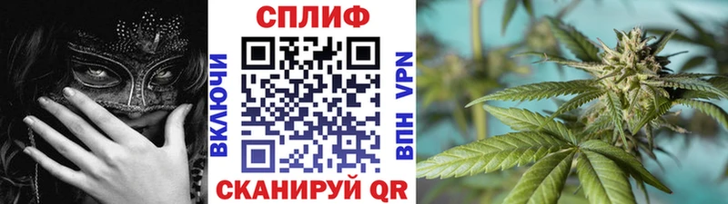 darknet какой сайт Кохма Канабис марихуана