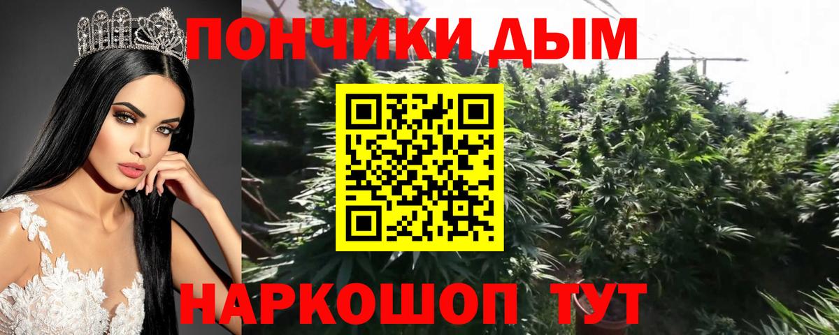 Кохма  Бошки Шишки конопля  Вход с VPN  Марихуана Bruce Banner  МАРИХУАНА сатива  Каннабис ГИДРОПОН 